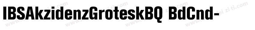 IBSAkzidenzGroteskBQ BdCnd字体转换